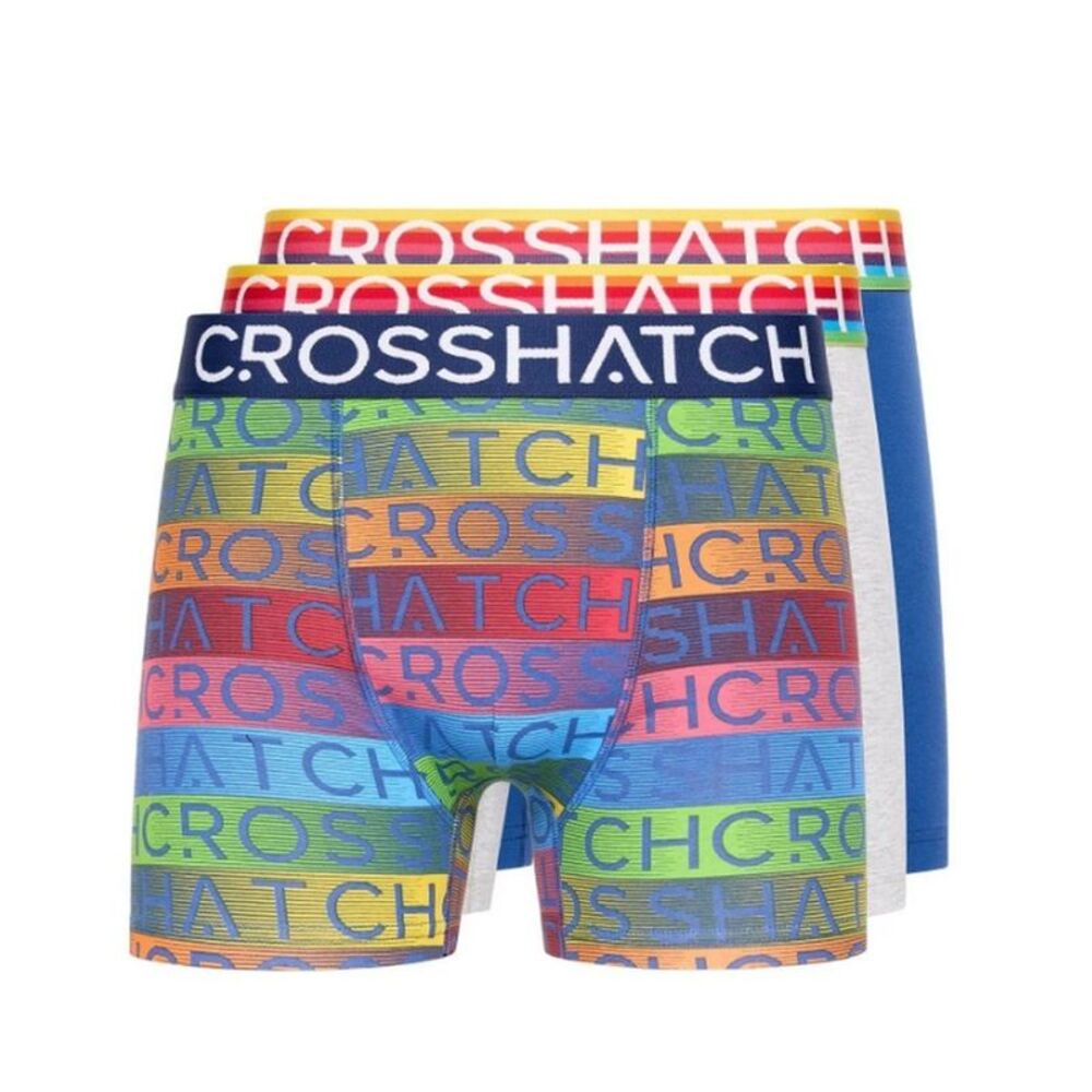 Crosshatch Mens Rainbow Mix Boxer Shorts (Pack of 3) / Gray